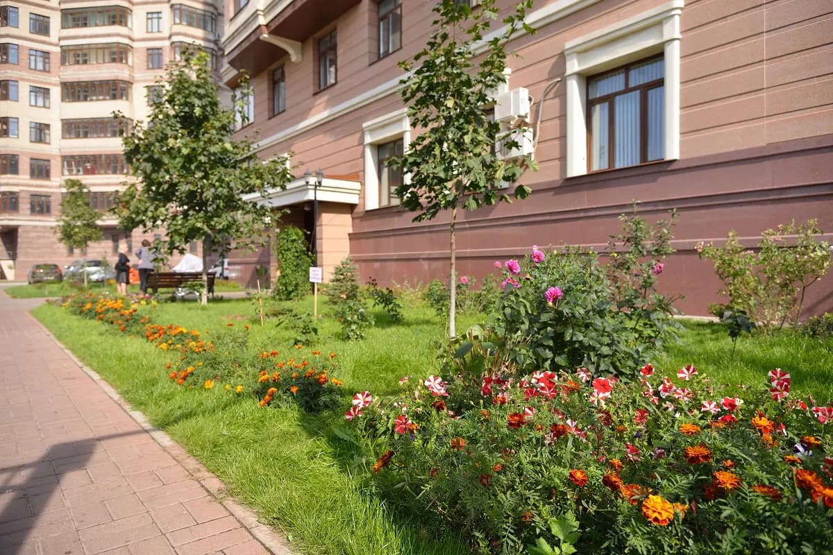 Новый Раменский, фото 3